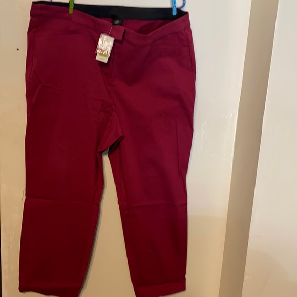 Lane Bryant Pants - Women’s lane Bryant plus sz 20 NWT